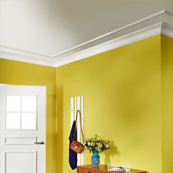 Coving Cornice